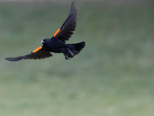 denoise-0N5A3757-After-Noise-denoise-LAST-BEST